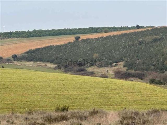 Terreno, Santa Eufemia del Barco