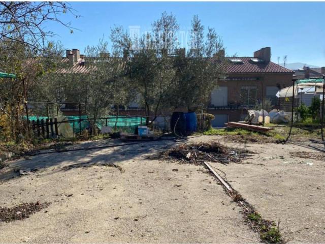 Terreno, Santa Eulàlia de Riuprimer