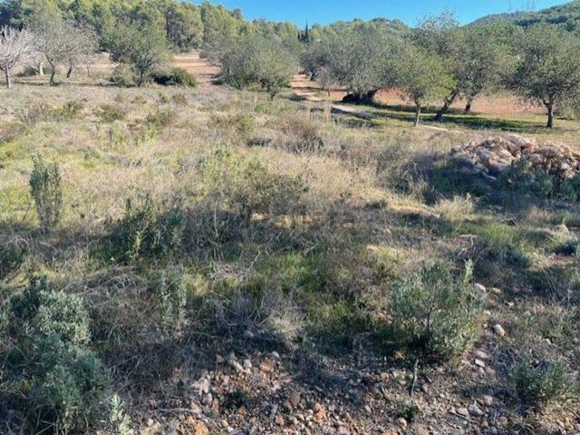 Terreno, Santa Eulalia del Río