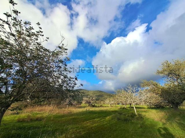 Terreno, Santa Eulalia del Río