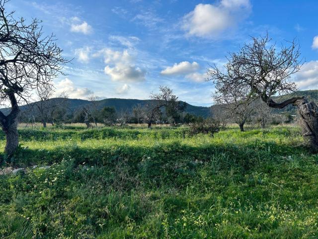 Terreno, Santa Eulalia del Río