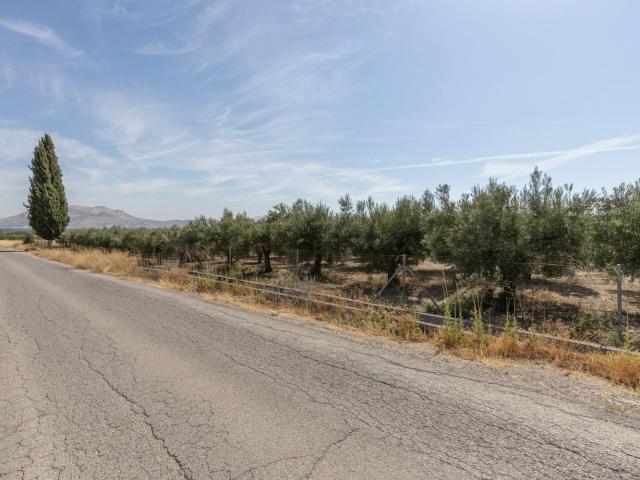 Terreno, Santa Fe