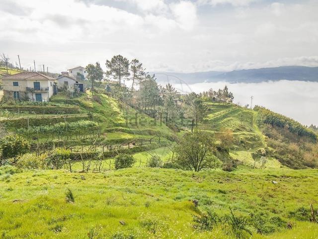 Terreno, Santa Leocádia e Mesquinhata