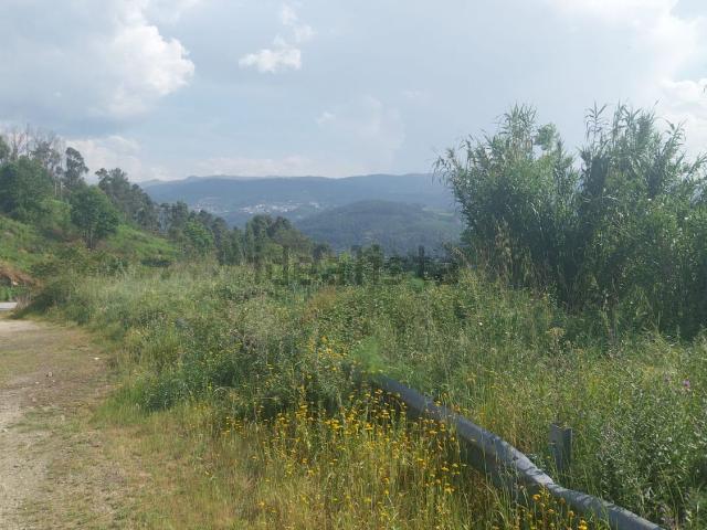 Terreno, Santa Leocádia e Mesquinhata