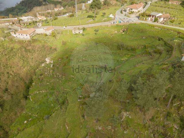 Terreno, Santa Leocádia e Mesquinhata