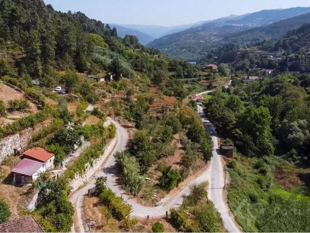 Terreno, Santa Leocádia e Mesquinhata