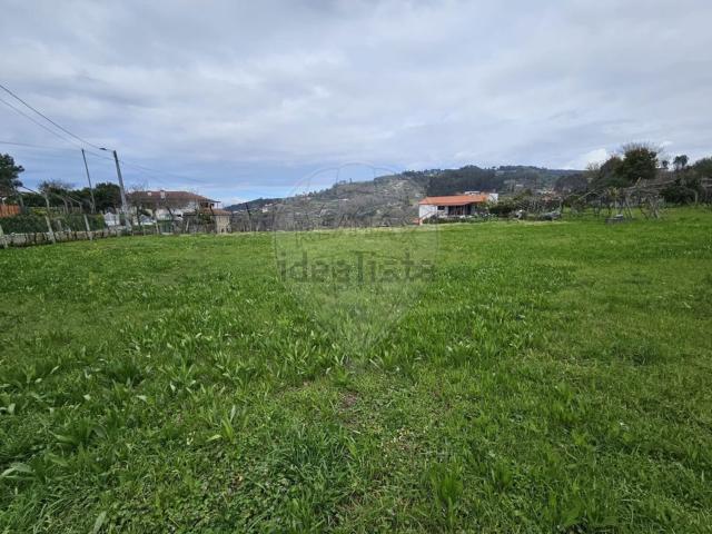 Terreno, Santa Leocádia e Mesquinhata