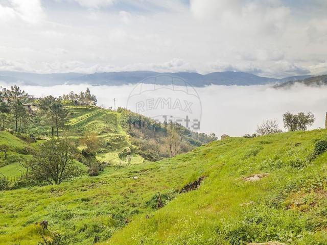 Terreno, Santa Leocádia e Mesquinhata