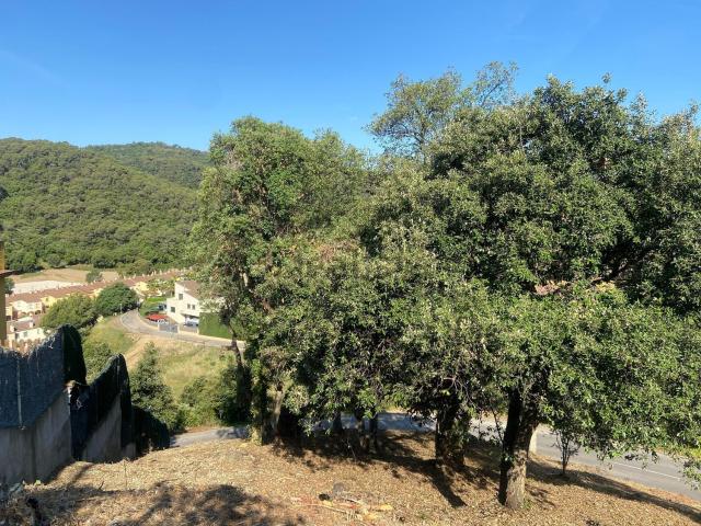 Terreno, Santa Susanna