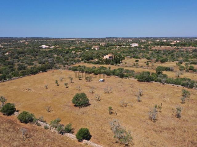Terreno, Santanyí
