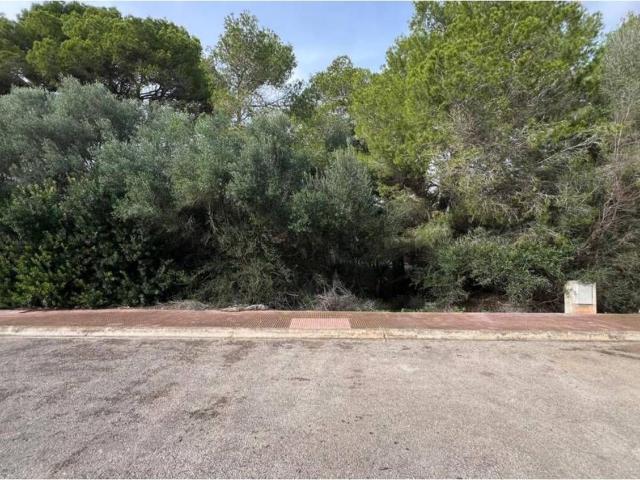 Terreno, Santanyí