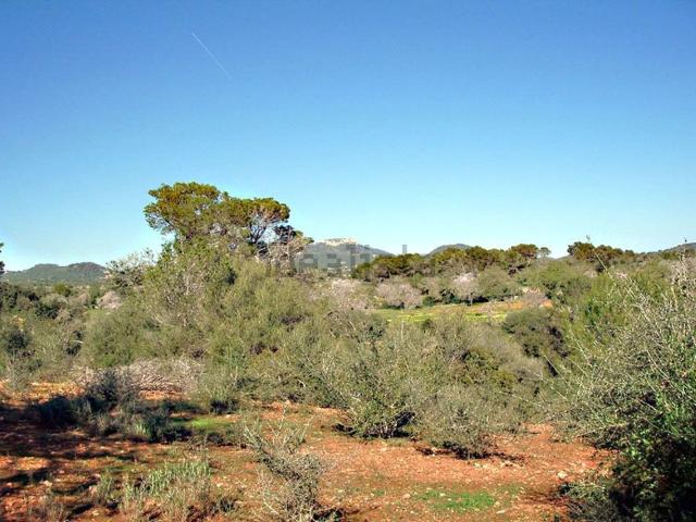 Terreno, Santanyí