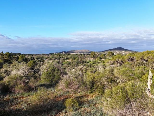 Terreno, Santanyí