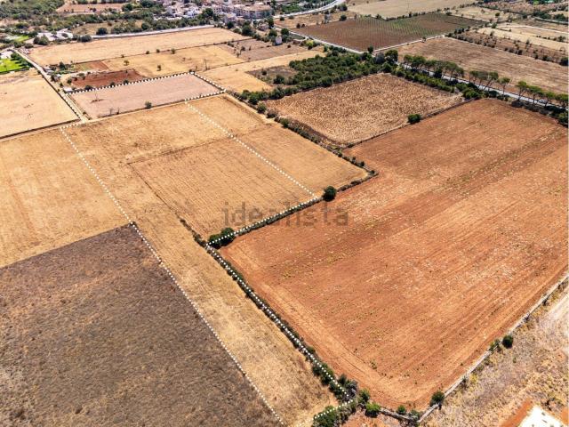Terreno, Santanyí