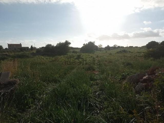 Terreno, Santanyí