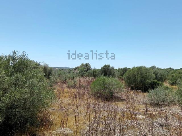 Terreno, Santanyí