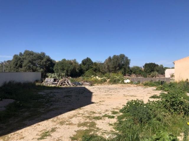 Terreno, Santanyí