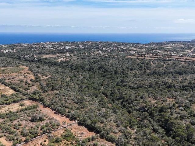 Terreno, Santanyí