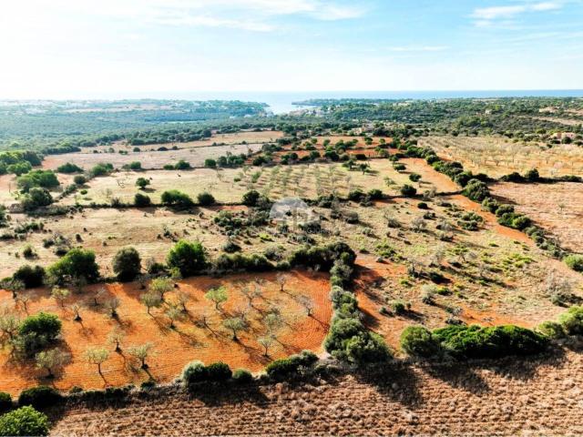 Terreno, Santanyí