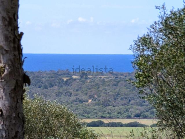 Terreno, Santanyí