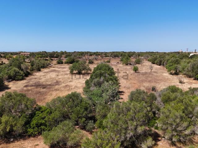 Terreno, Santanyí
