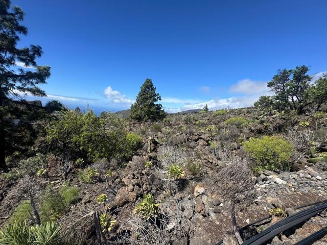 Terreno, Santiago del Teide