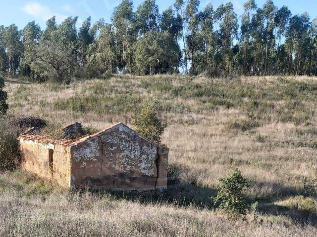 Terreno, Santiago do Cacém Santa Cruz São Bartolomeu da Serra