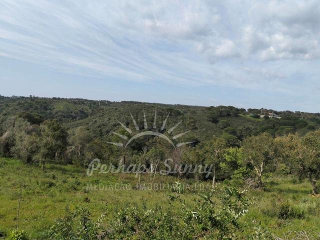 Terreno, São Francisco da Serra