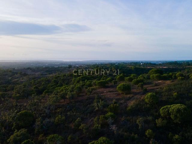 Terreno, Santiago do Cacém Santa Cruz São Bartolomeu da Serra