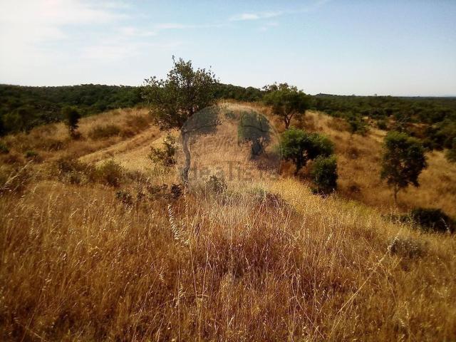 Terreno, Santiago do Cacém Santa Cruz São Bartolomeu da Serra