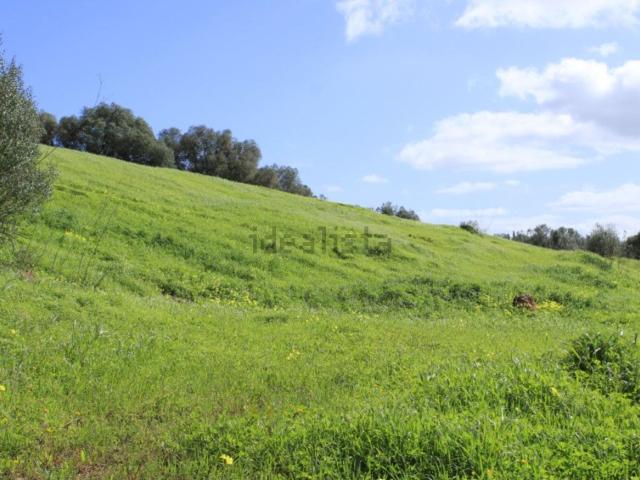 Terreno, Santiago do Cacém Santa Cruz São Bartolomeu da Serra