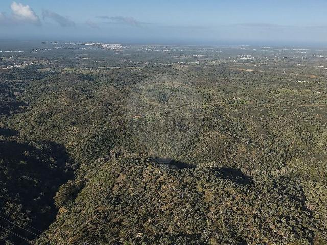 Terreno, Santiago do Cacém Santa Cruz São Bartolomeu da Serra