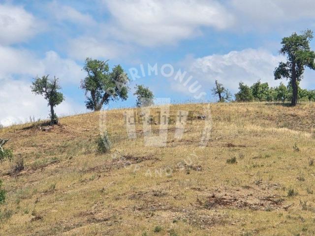 Terreno, Santiago do Cacém Santa Cruz São Bartolomeu da Serra