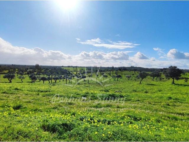 Terreno, Santiago do Cacém Santa Cruz São Bartolomeu da Serra
