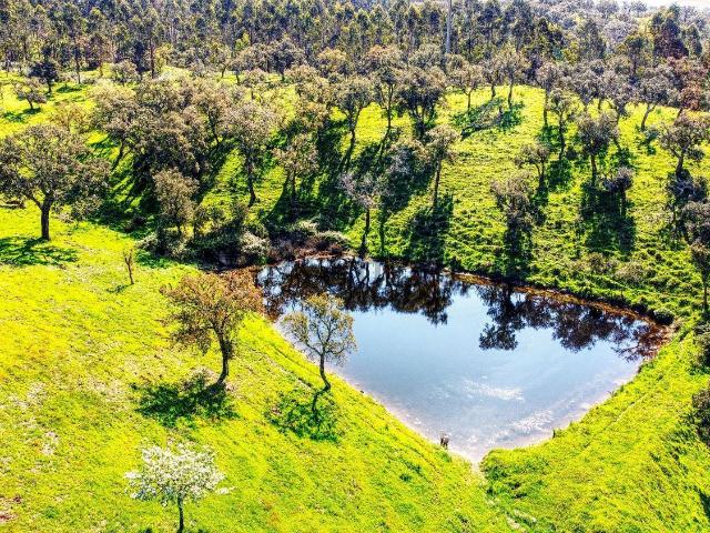 Terreno, Santiago do Cacém Santa Cruz São Bartolomeu da Serra
