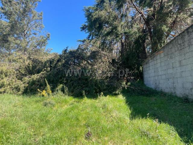 Terreno, Santiago, Seia | BPI Expresso Imobiliário