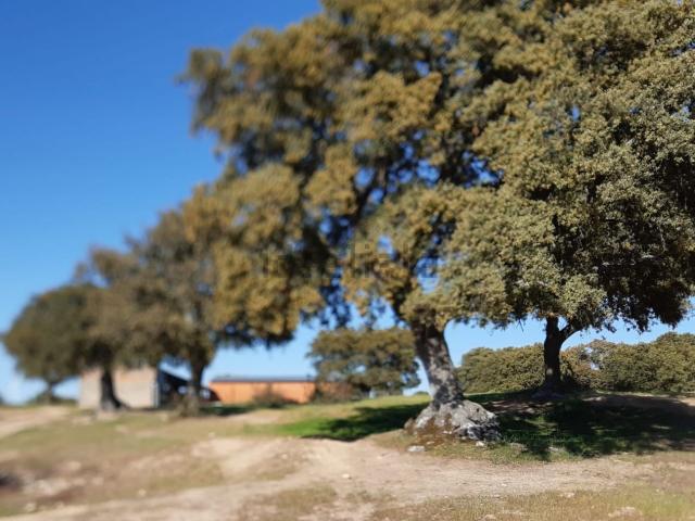 Terreno, Santiz