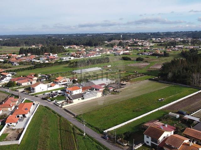 Terreno, Santo António