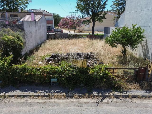 Terreno, Santo António da Charneca