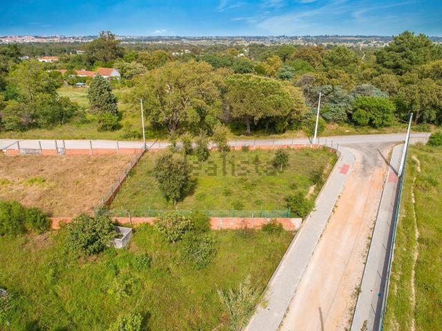 Terreno, Santo António da Charneca