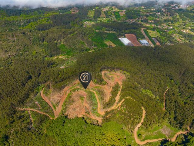 Terreno, Santo António da Serra, Santa Cruz | BPI Expresso Imobiliário