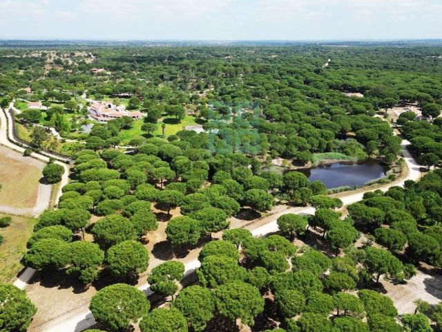 Terreno, Santo Estevão