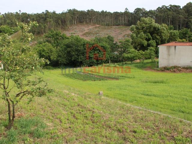 Terreno, Santo Tirso Couto Burgães
