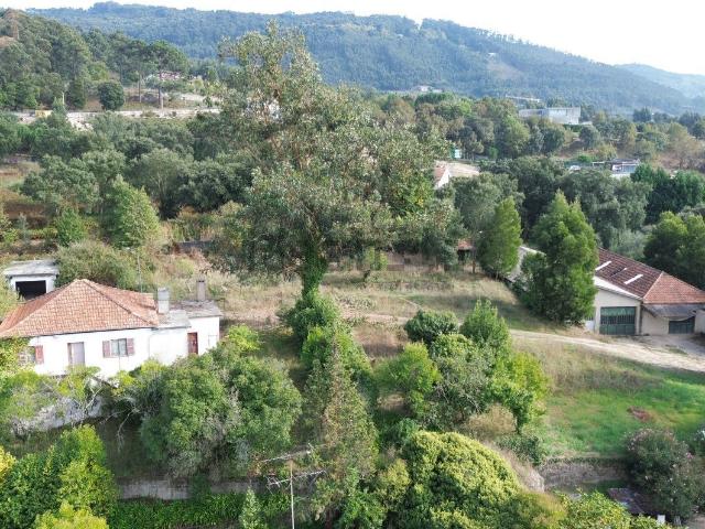 Terreno, Santo Tirso Couto Burgães