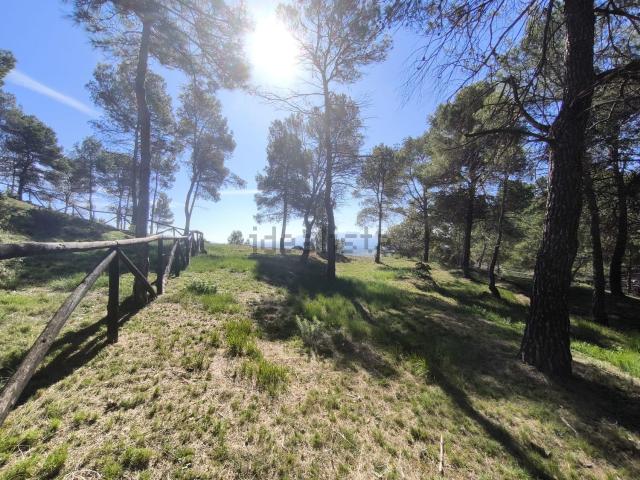 Terreno, Santpedor