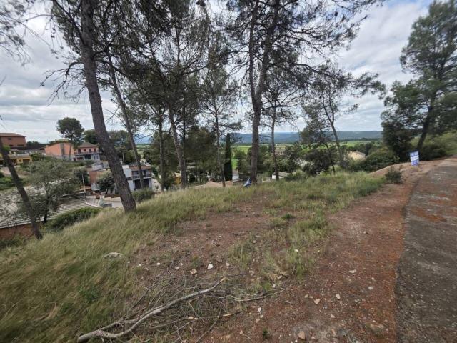 Terreno, Santpedor