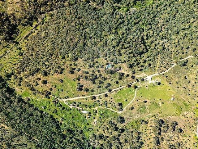 Terreno, Sardoal