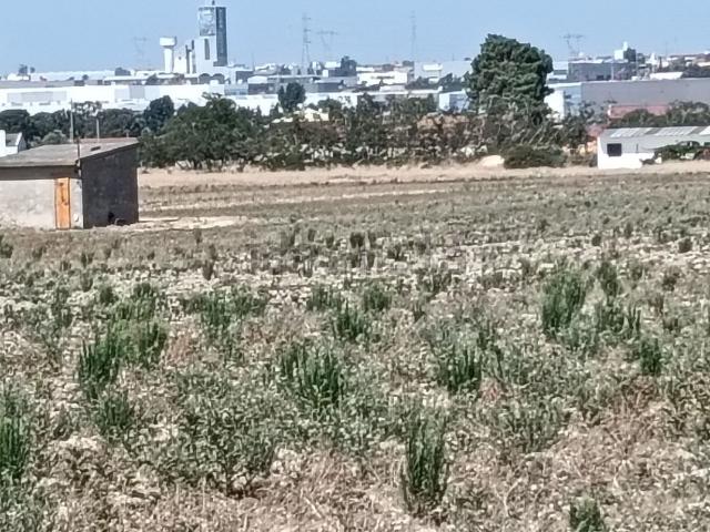 Terreno, Sarilhos Grandes