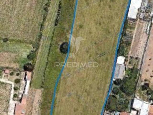 Terreno Sarrazola Cacia | 26064084429