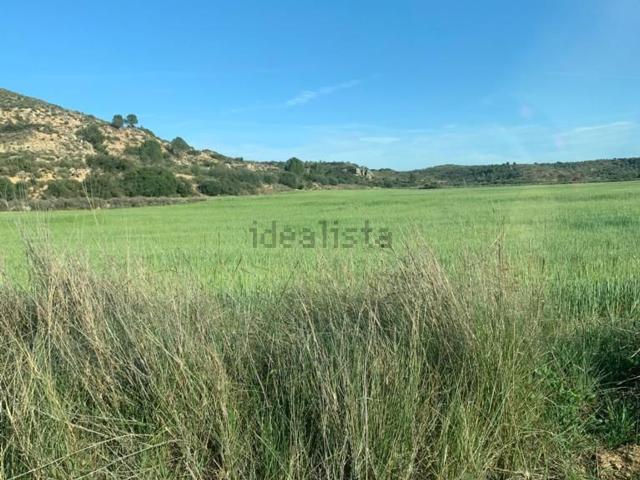 Terreno, Sarroca de Lleida